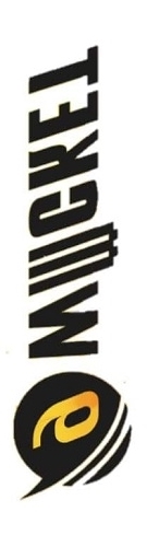 Logotipo 9wickets